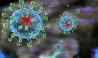 Алгоритм дій у випадку COVID-19